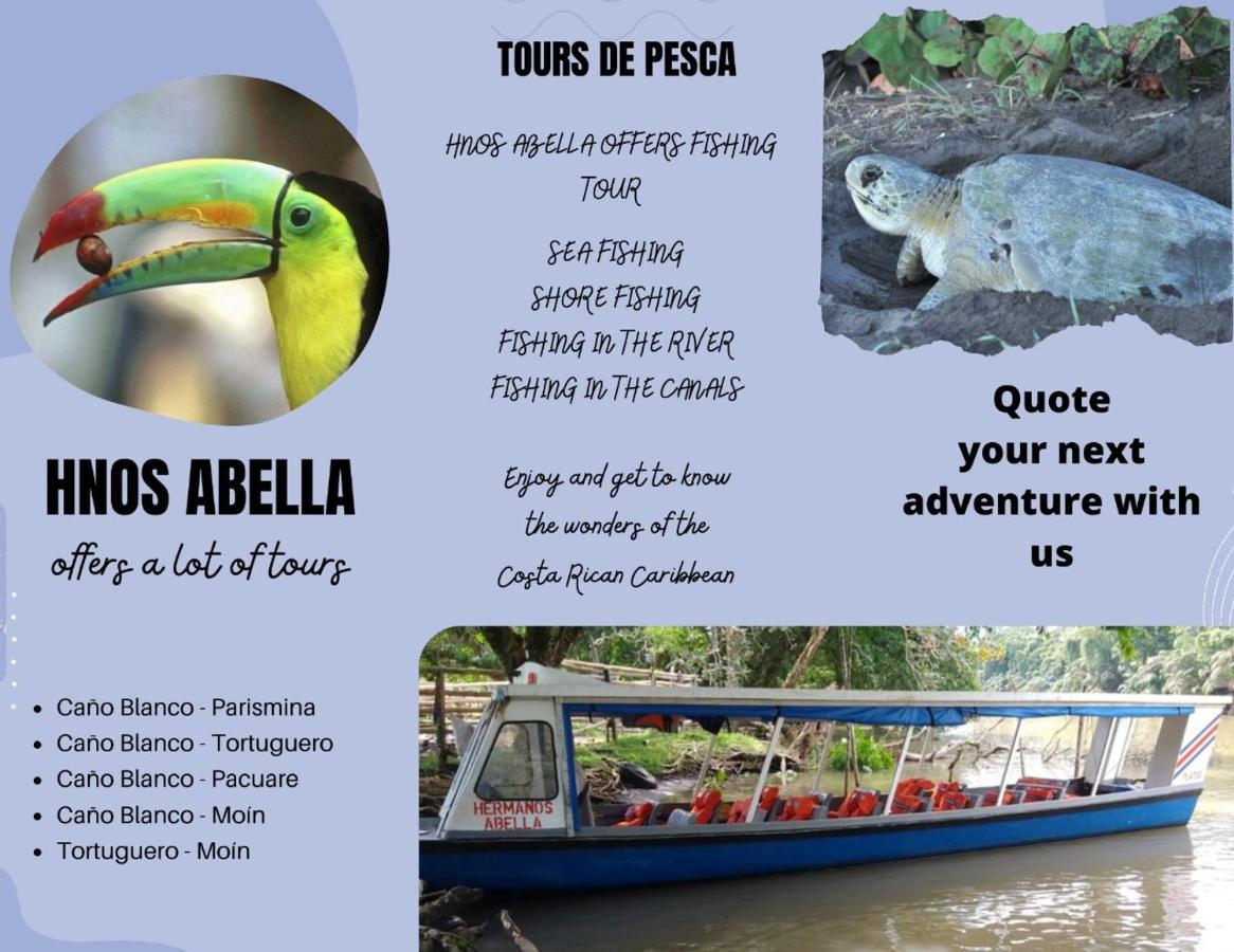 Sleep&Go! Cabina Cuadruple En Siquirres Centro - And Rafting Tour! Siqurres Da Alegria المظهر الخارجي الصورة